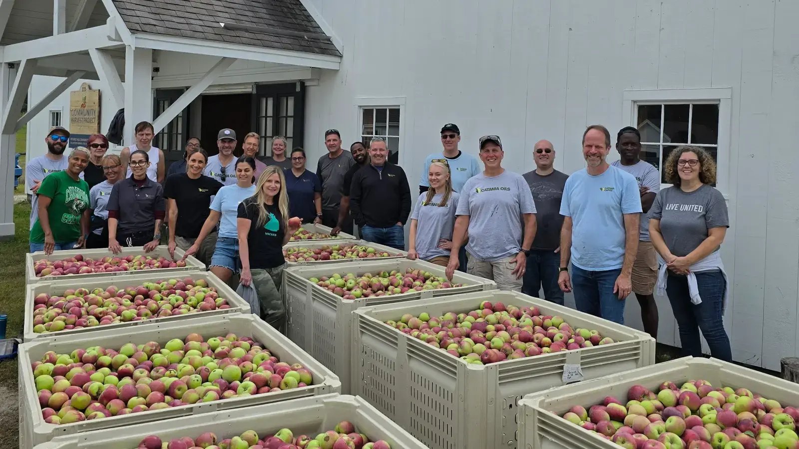 Catania Cares picking apples for Community Harvest